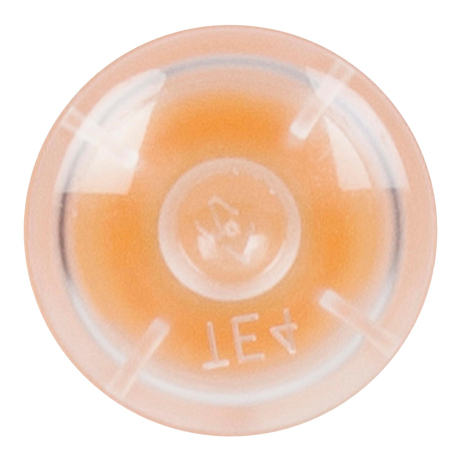 Product image for GTIN 00697177000706 26